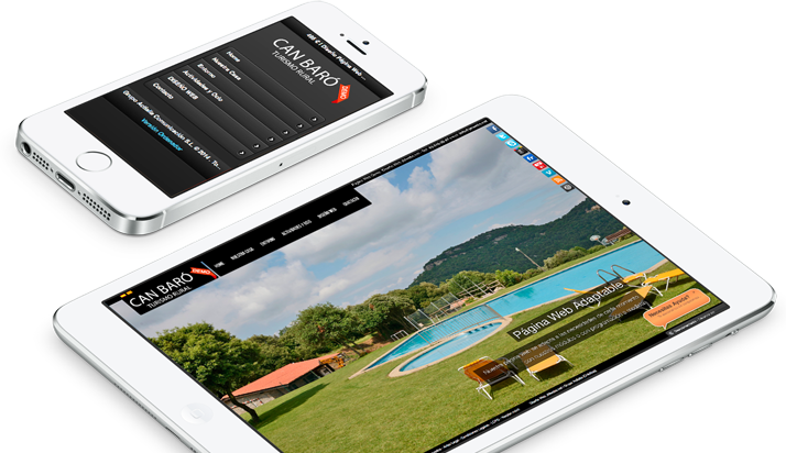 Diseño páginas Web Adaptables a Móviles Mallorca, Menorca, Ibiza y Formentera